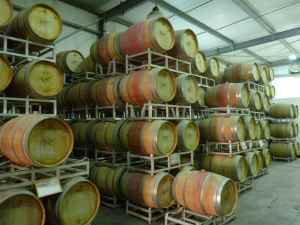 Yatir Winery Barrel Room-small