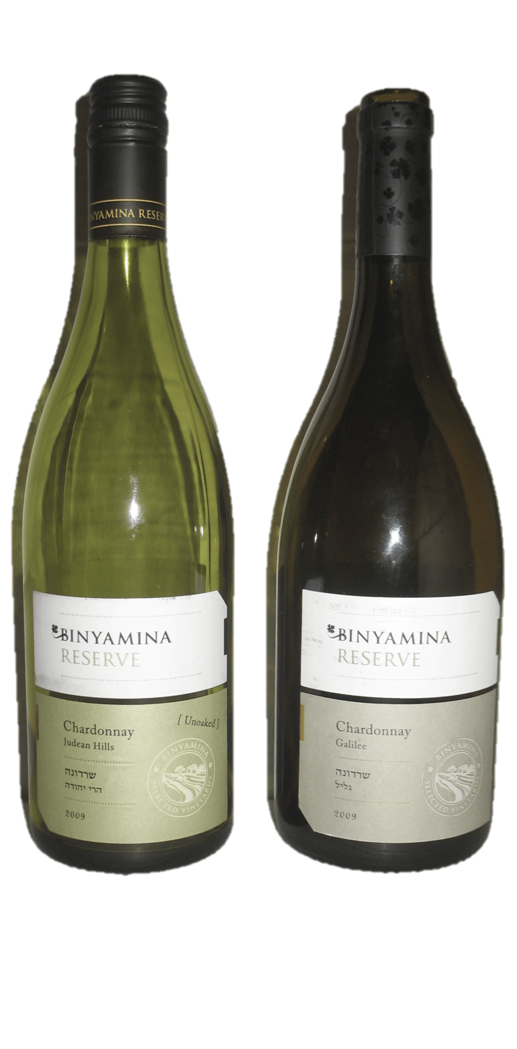 Lemon Rosemary Roasted Chicken, Risotto, Baked Herb Encrusted Fish Loaf, and a myriad of wonderful wines