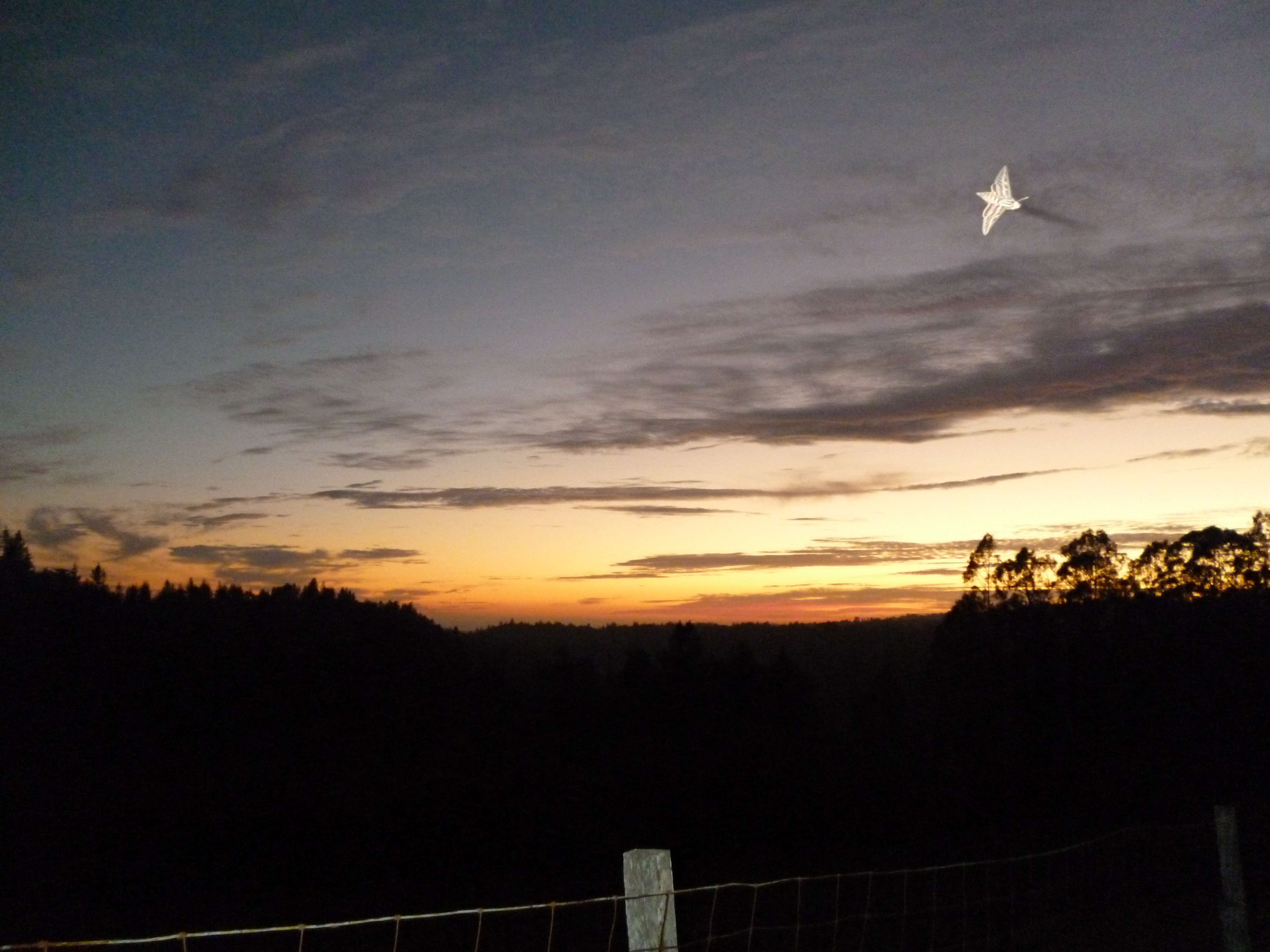 Four Gates Winery’s January 2019 new releases