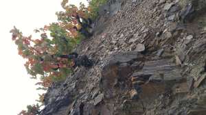 20151019_103655