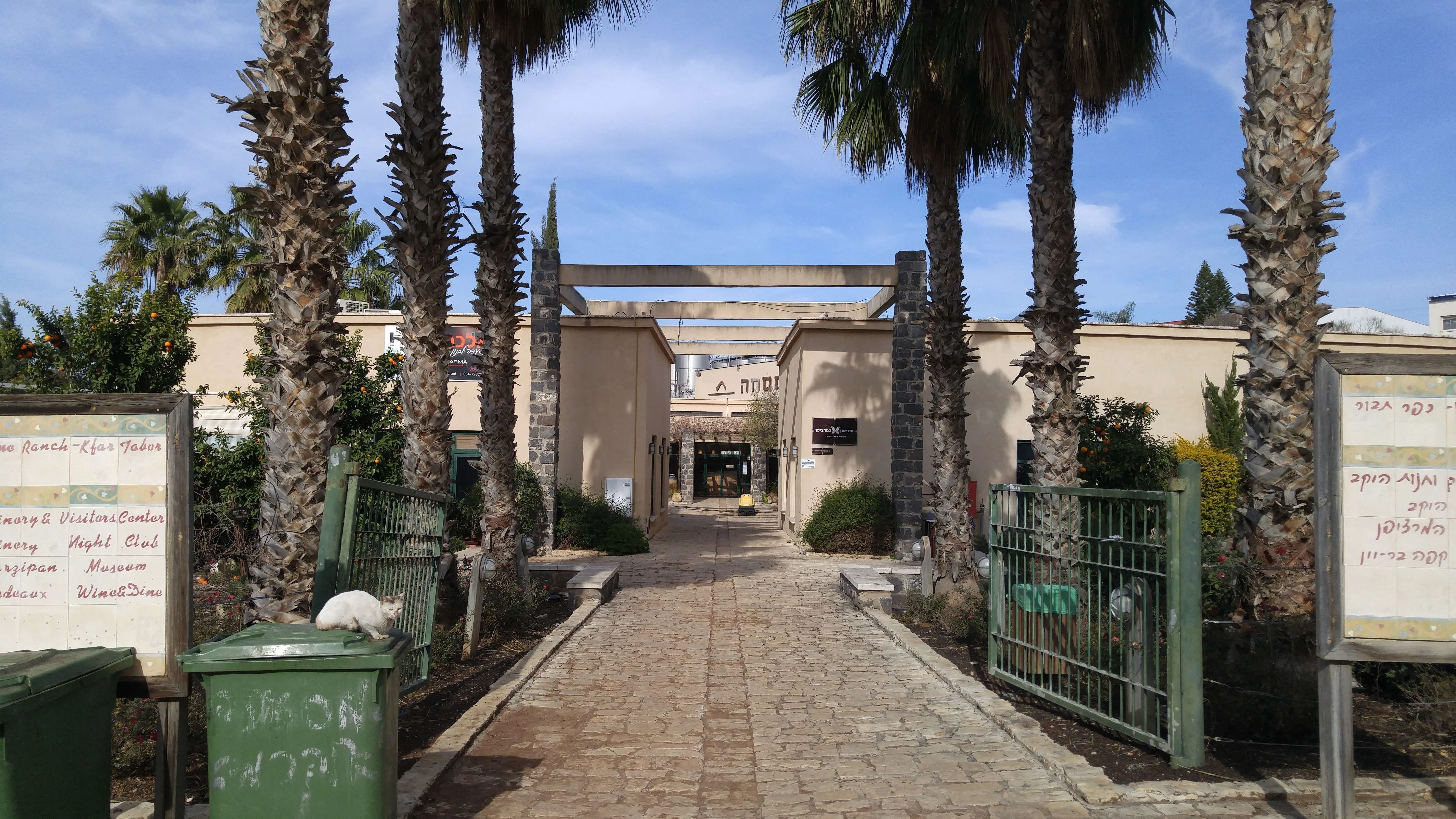 Tabor Winery – one of Israel’s top QPR wineries