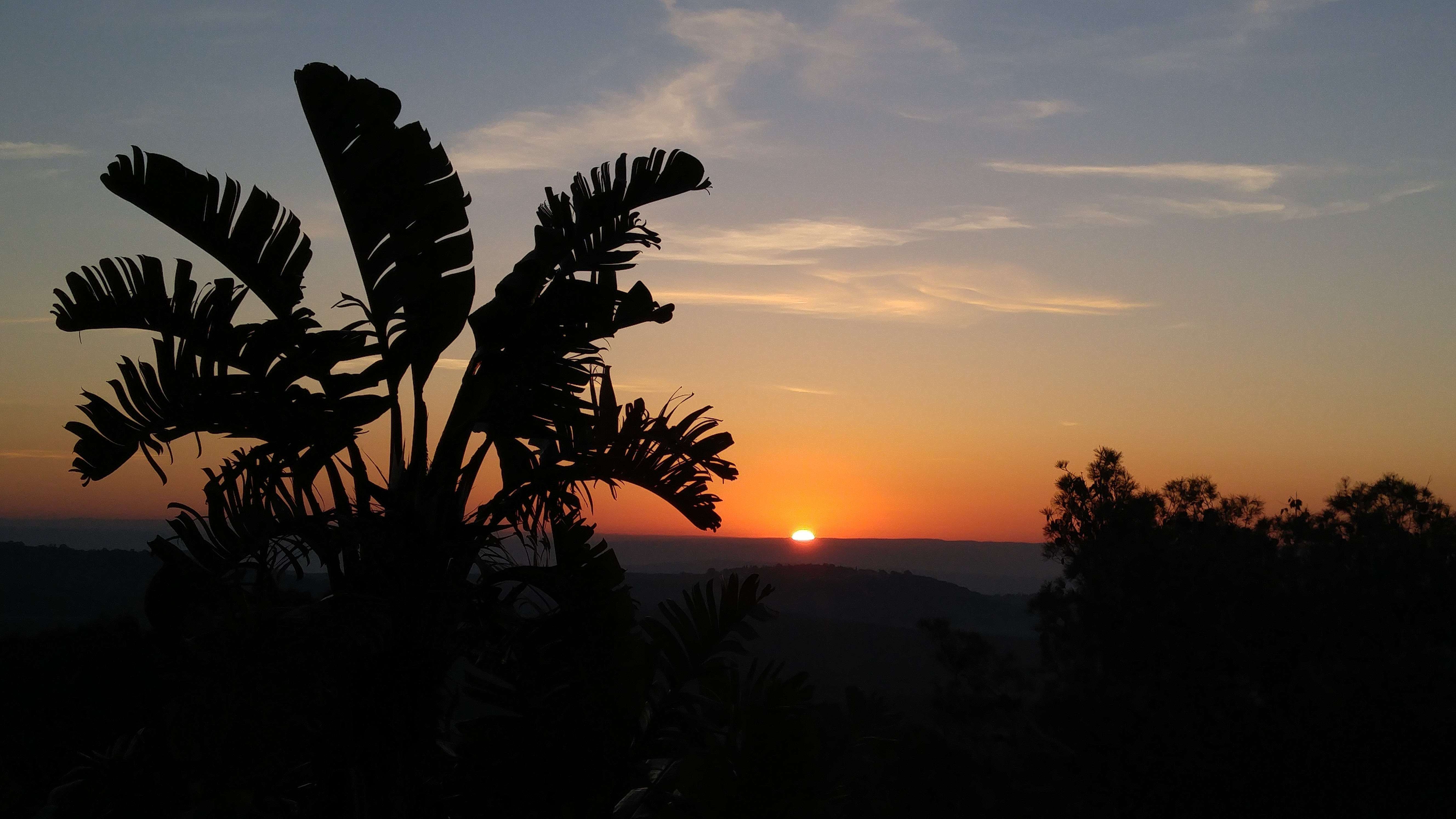 Domaine Netofa Winery – a world-class shmita observant winery