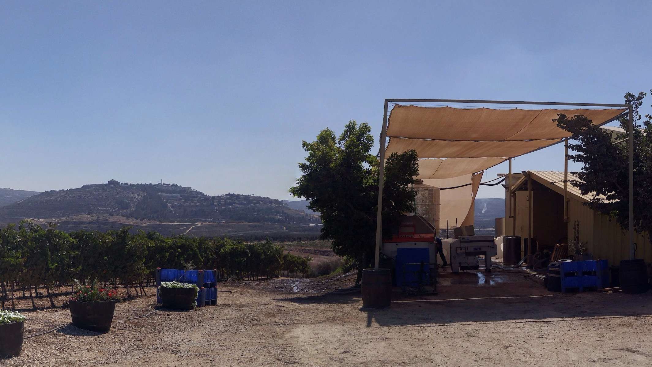 Gvaot Winery’s latest releases
