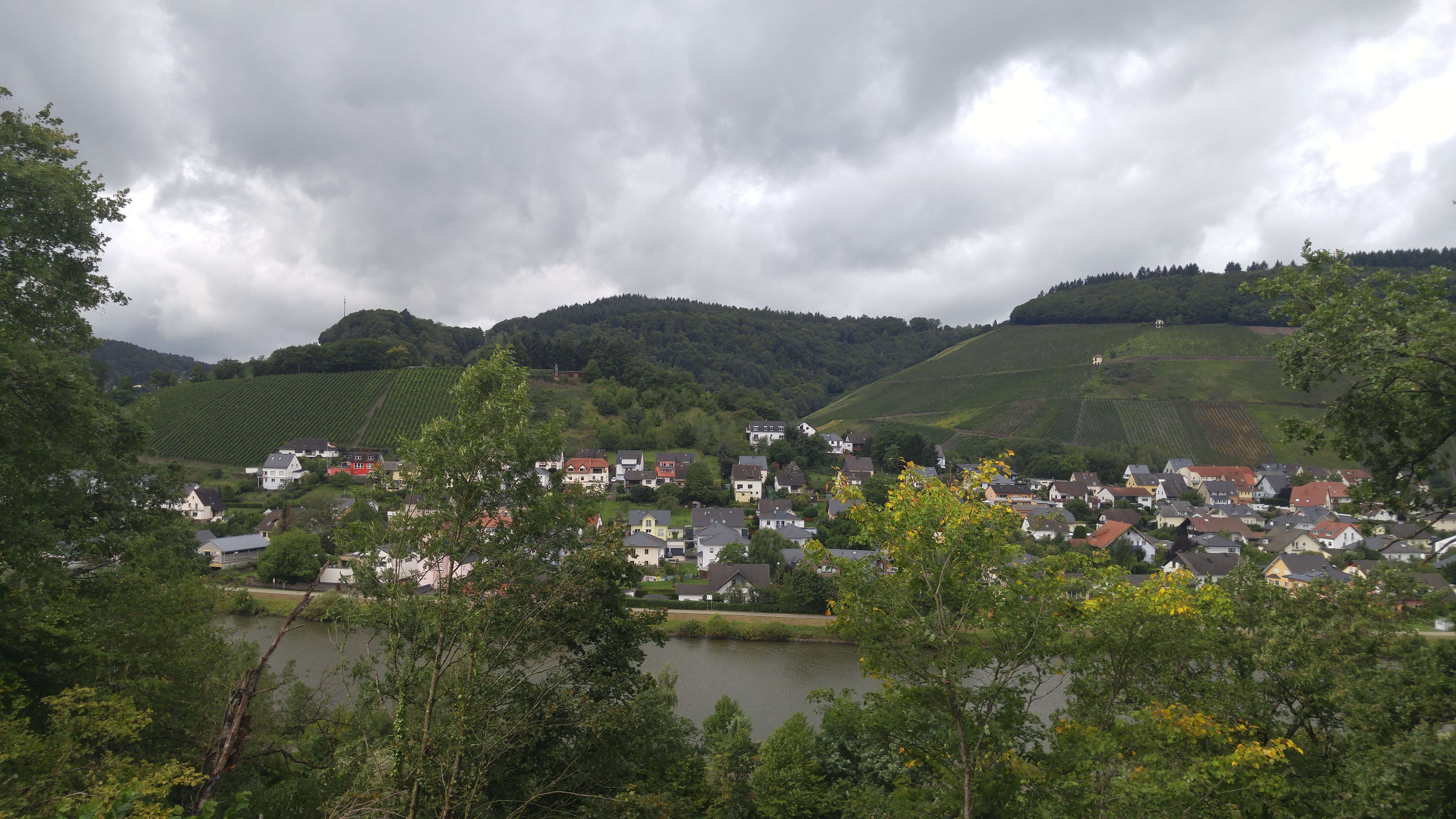 The mad dash to Weingut von Hovel in Mosel to enjoy kosher German Rieslings – Gefen Hashalom
