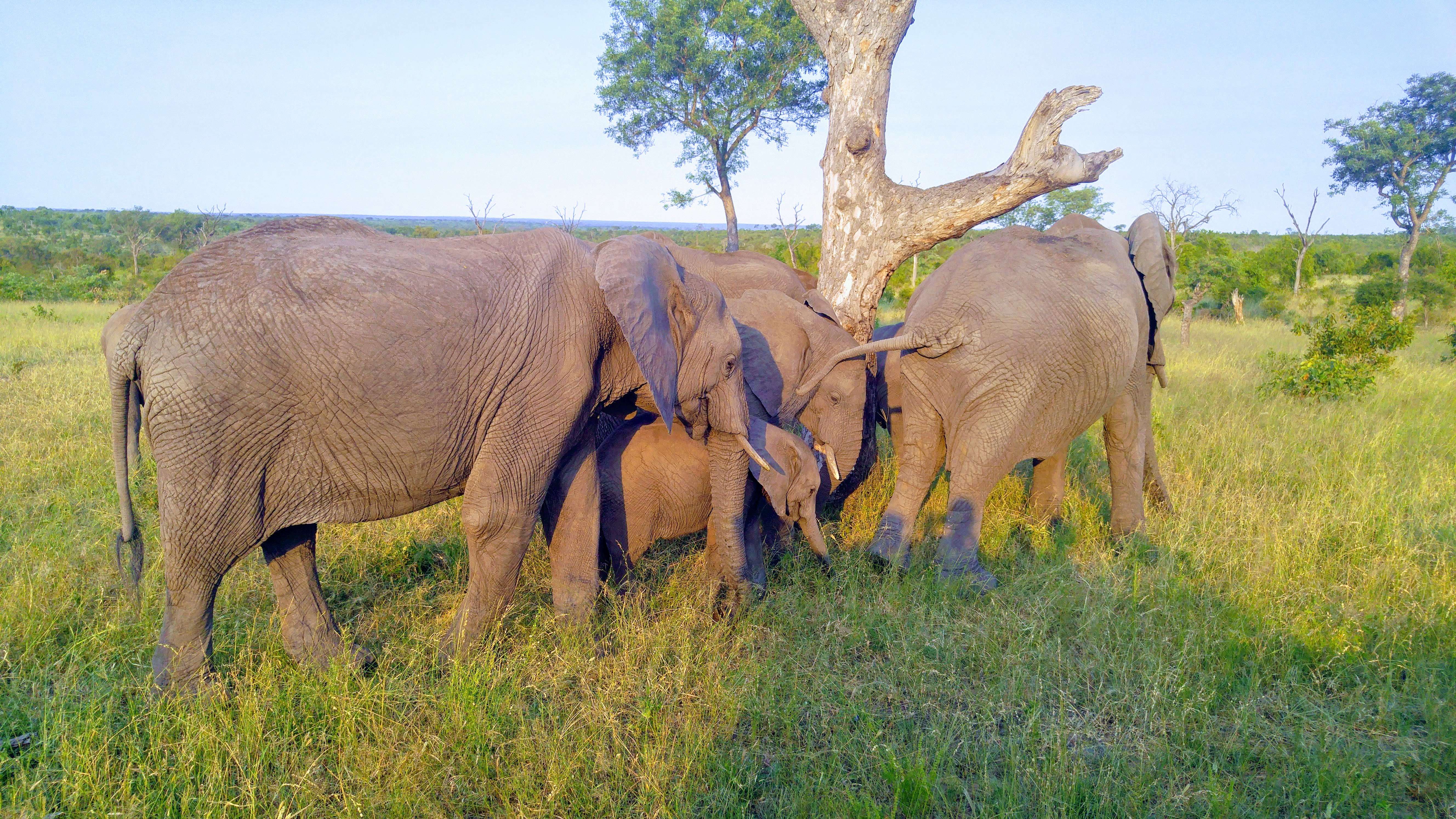 The good and the ugly state of kosher wine in South Africa and Chicago