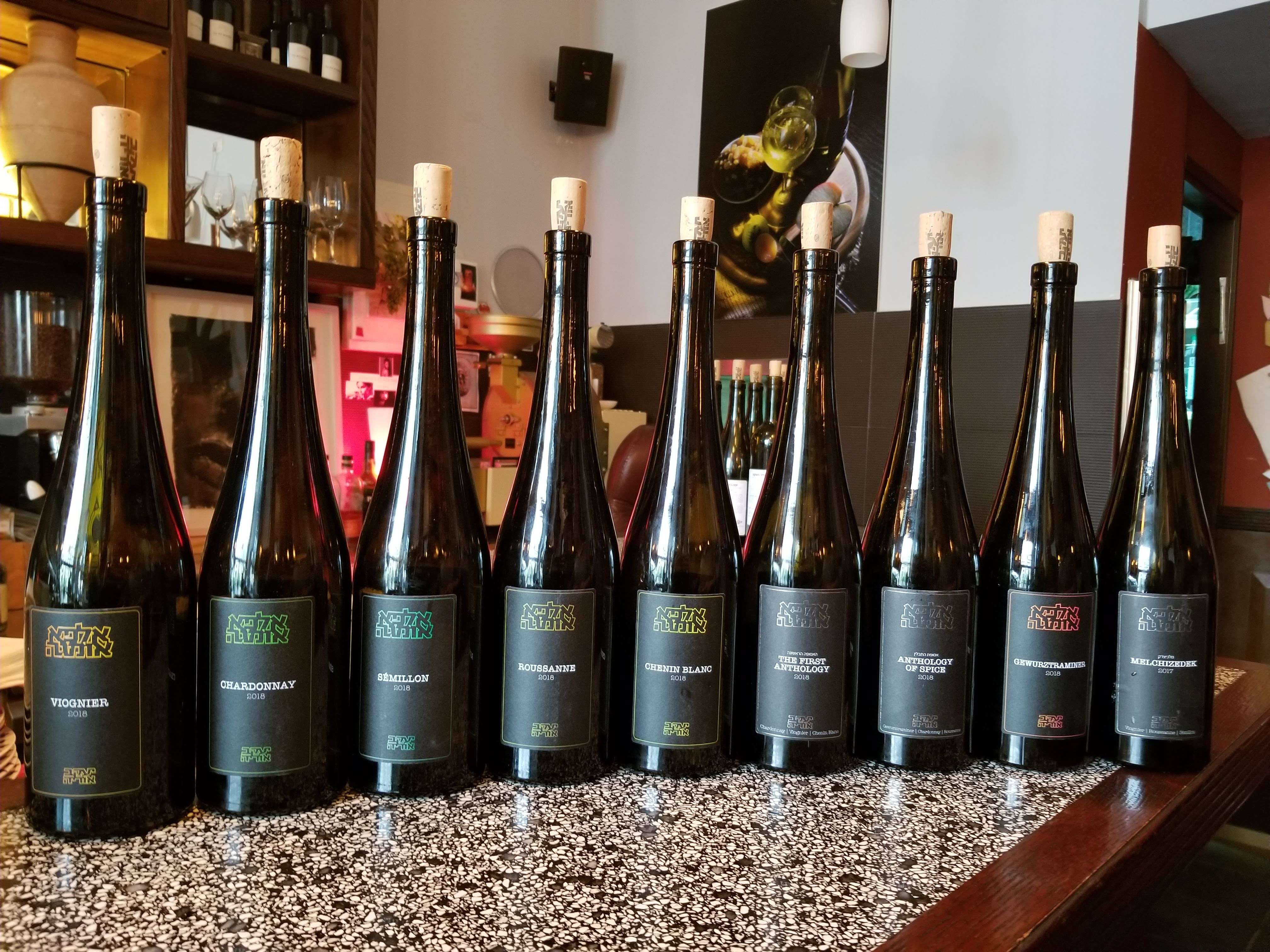 My recent visit with Yaacov Oryah and the white and orange wine factory