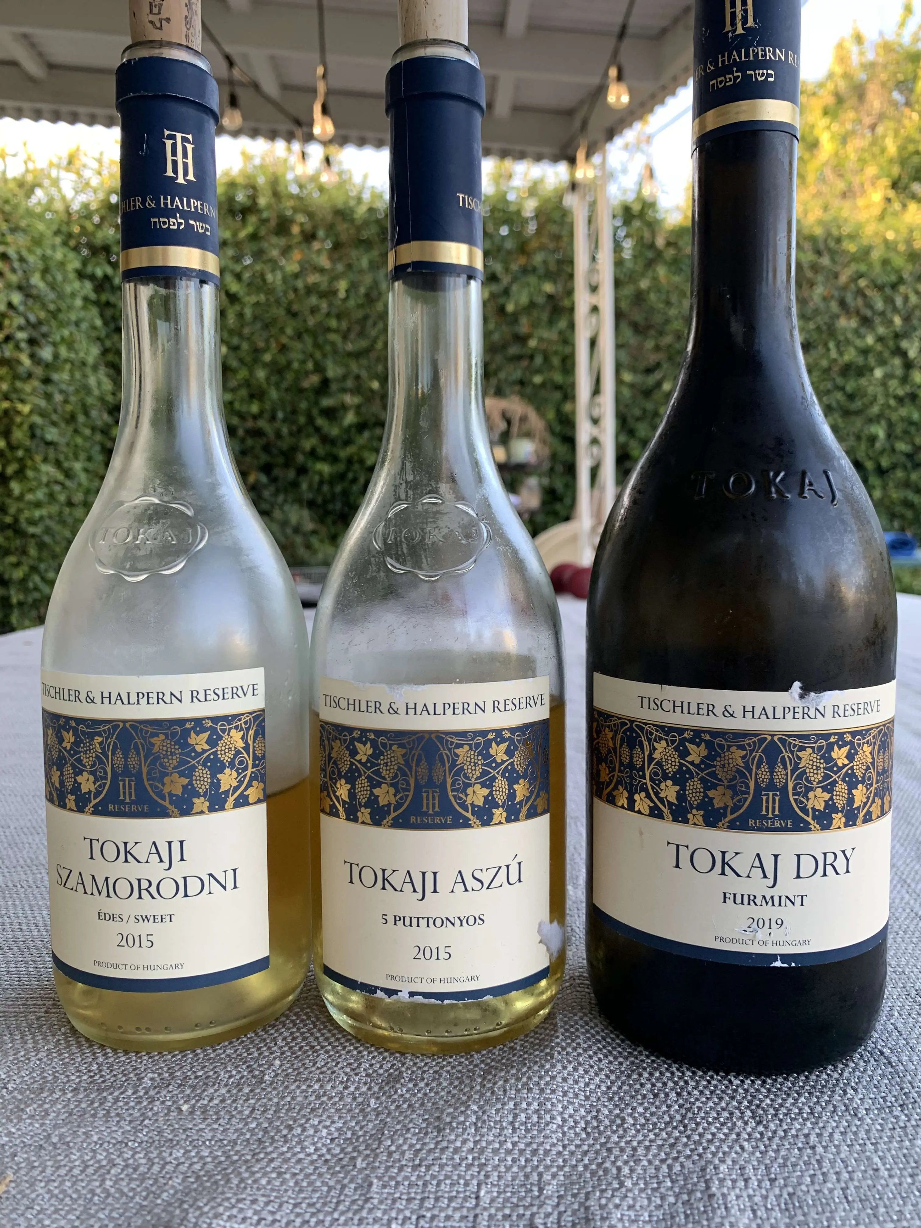 Five new kosher Hungarian wines with some QPR potential