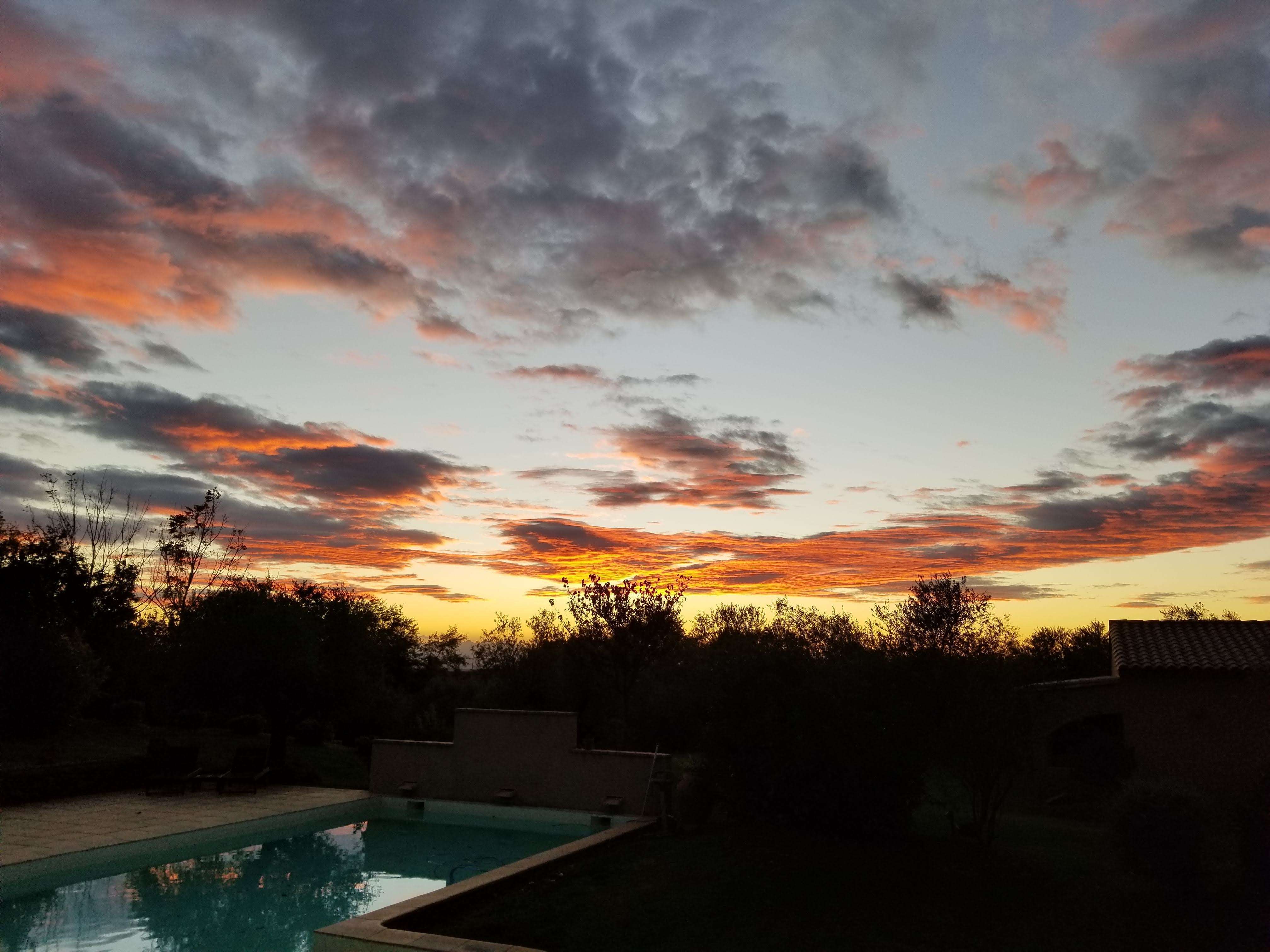 The Top 24 QPR Kosher Wine WINNERS of 2022